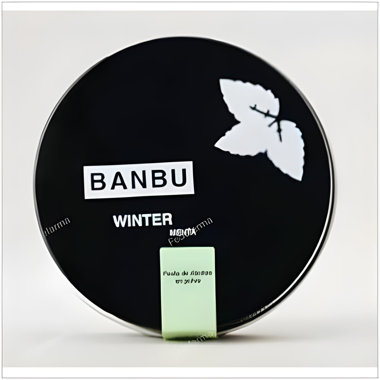 Banbu Winter Dentifrico Menta Polvo 60gr. Eco Vegan