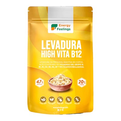 LEVADURA NUTRICIONAL HIGH VITA B copos 250gr VEGAN