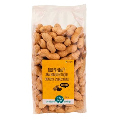 CACAHUETES con cascara 330gr. VEGAN