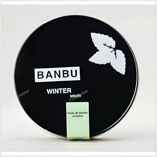 Banbu Winter Dentifrico Menta Polvo 60gr. Eco Vegan