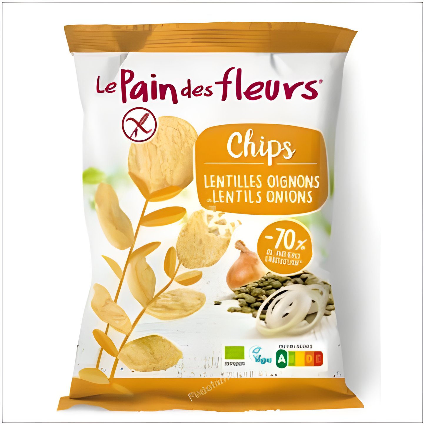 LE PAIN DES FLEURS CHIPS DE LENTEJAS con cebolla 50gr. BIO SG VEGAN