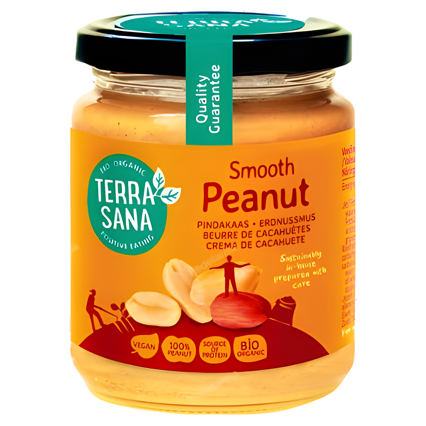 TERRASANA CREMA DE CACAHUETE sin sal 250gr. ECO SG VEGAN
