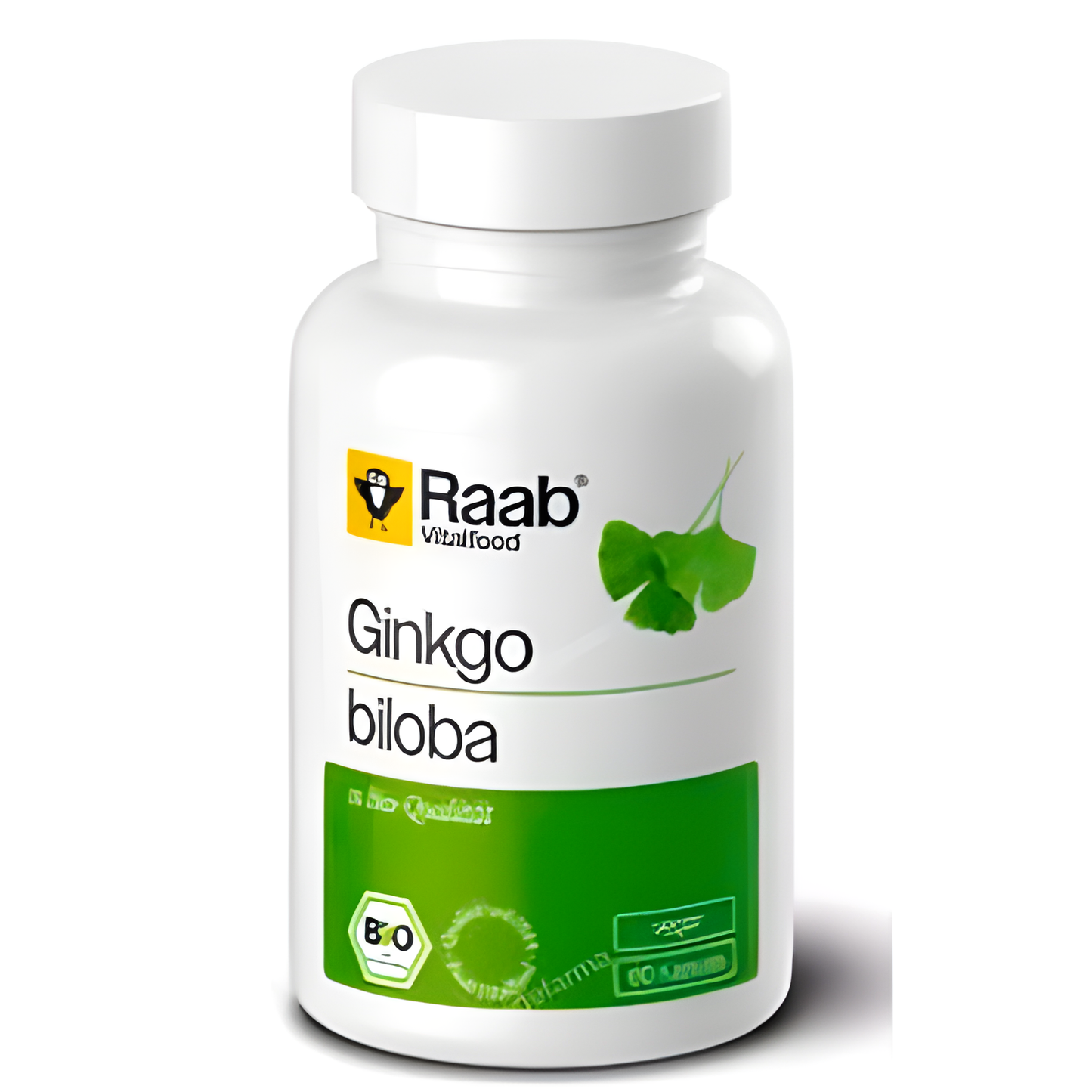 Raab Vitalfood Ginkgo Biloba 500mg 60 Cap Bio Vegan Sg