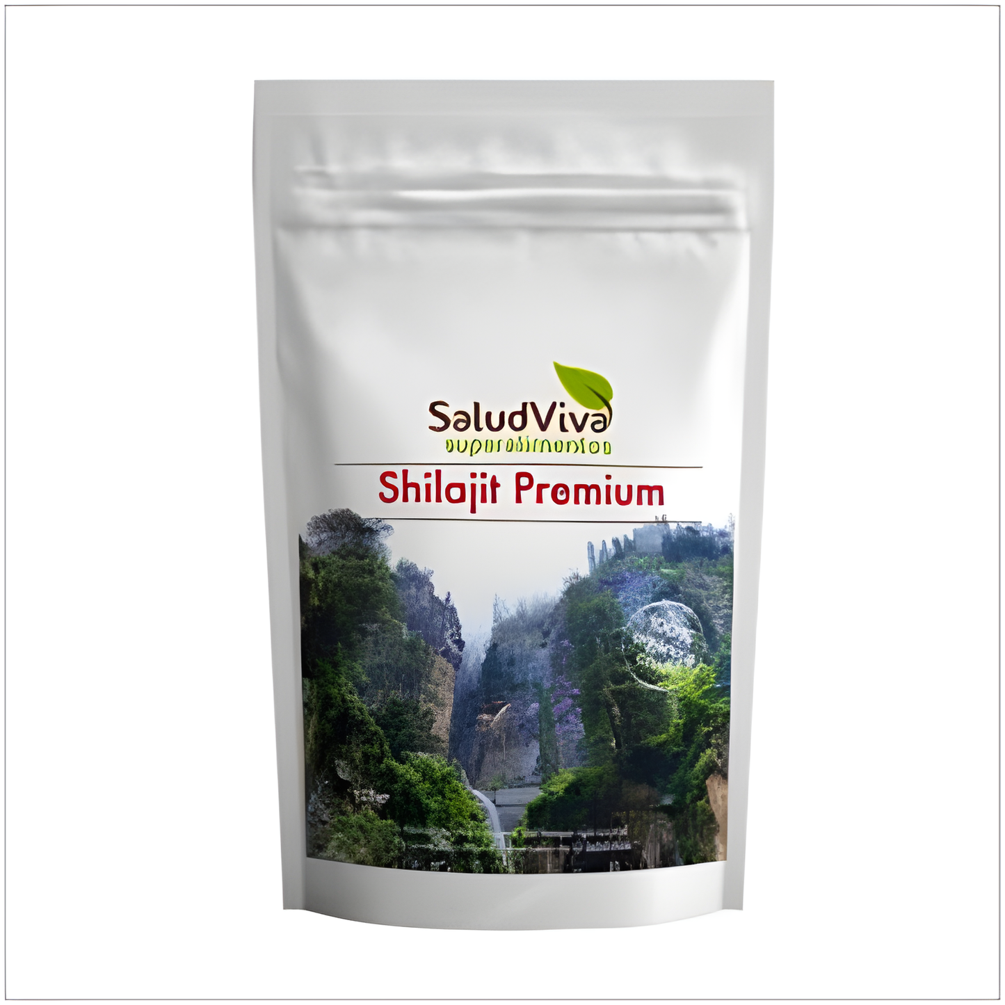 SALUD VIVA SHILAJIT 125gr. SG S/A VEGAN
