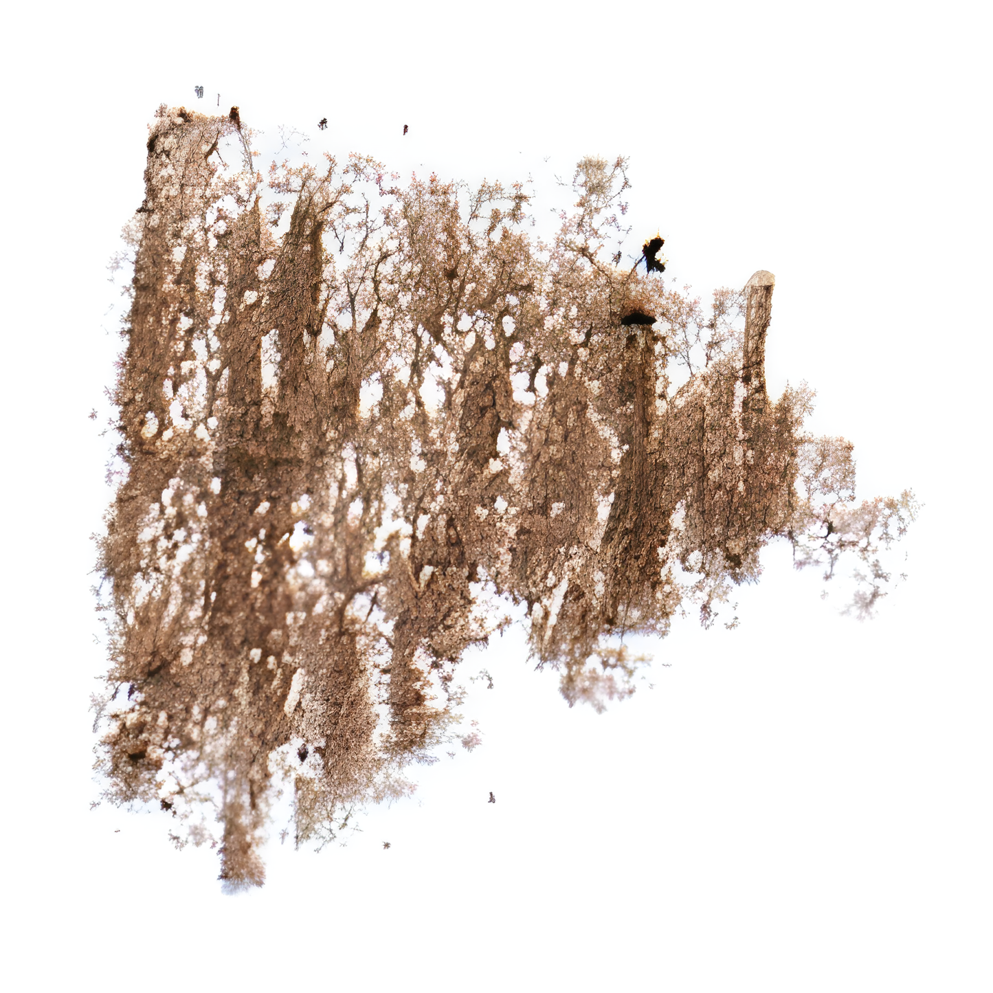 Benecos Lapiz de Cejas Marron Suave 1,13gr. Vegano