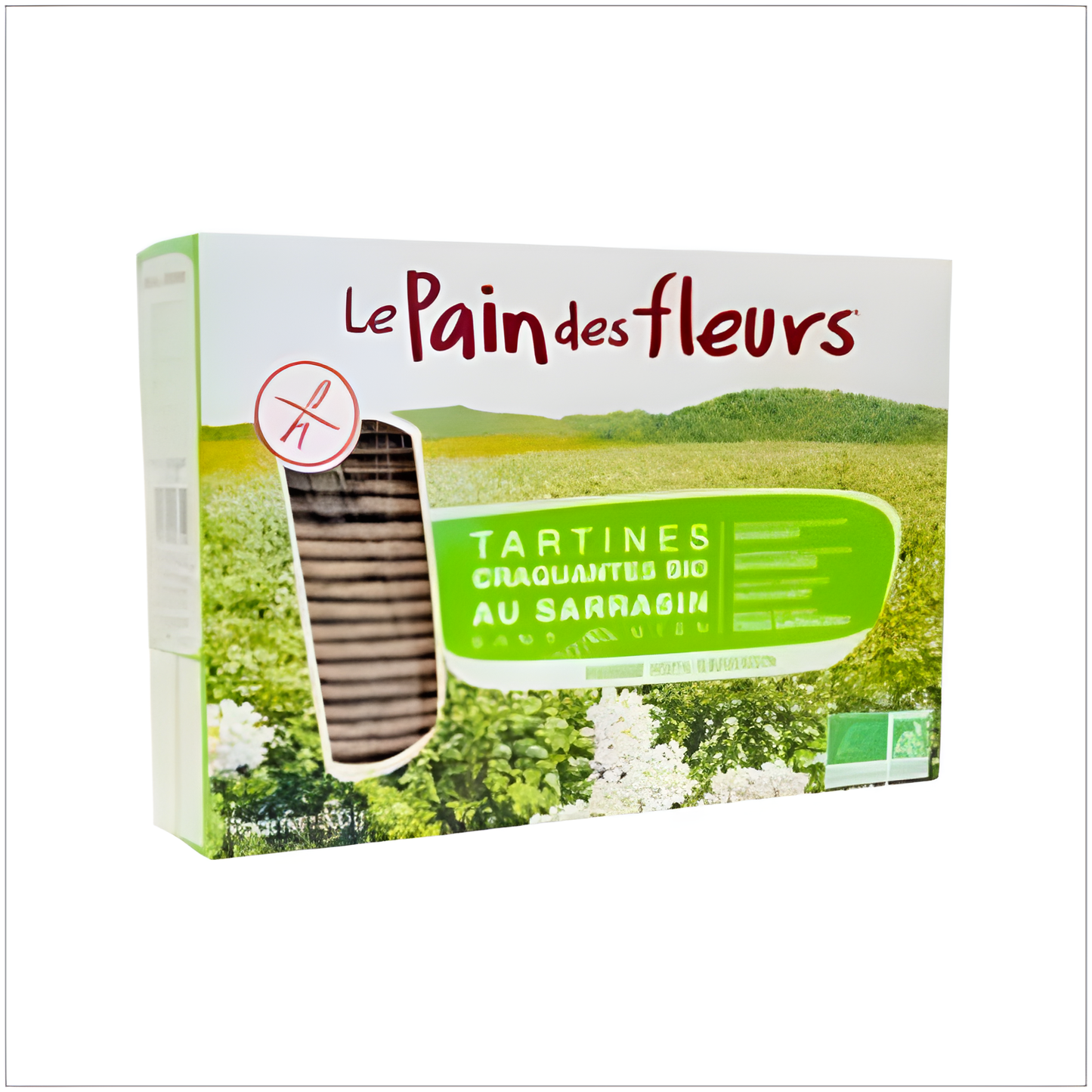 LE PAIN DES FLEURS CRACKER TRIGO SARRACENO 300gr. BIO SG VEGAN