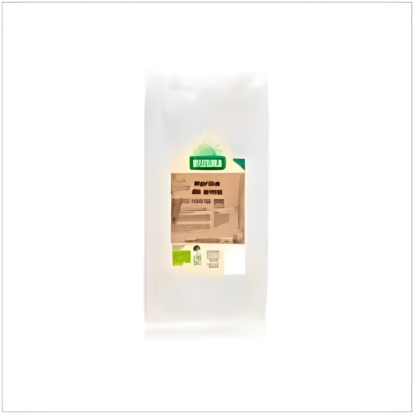 Biogra Harina de Arroz 500gr. Bio Vegan Sg