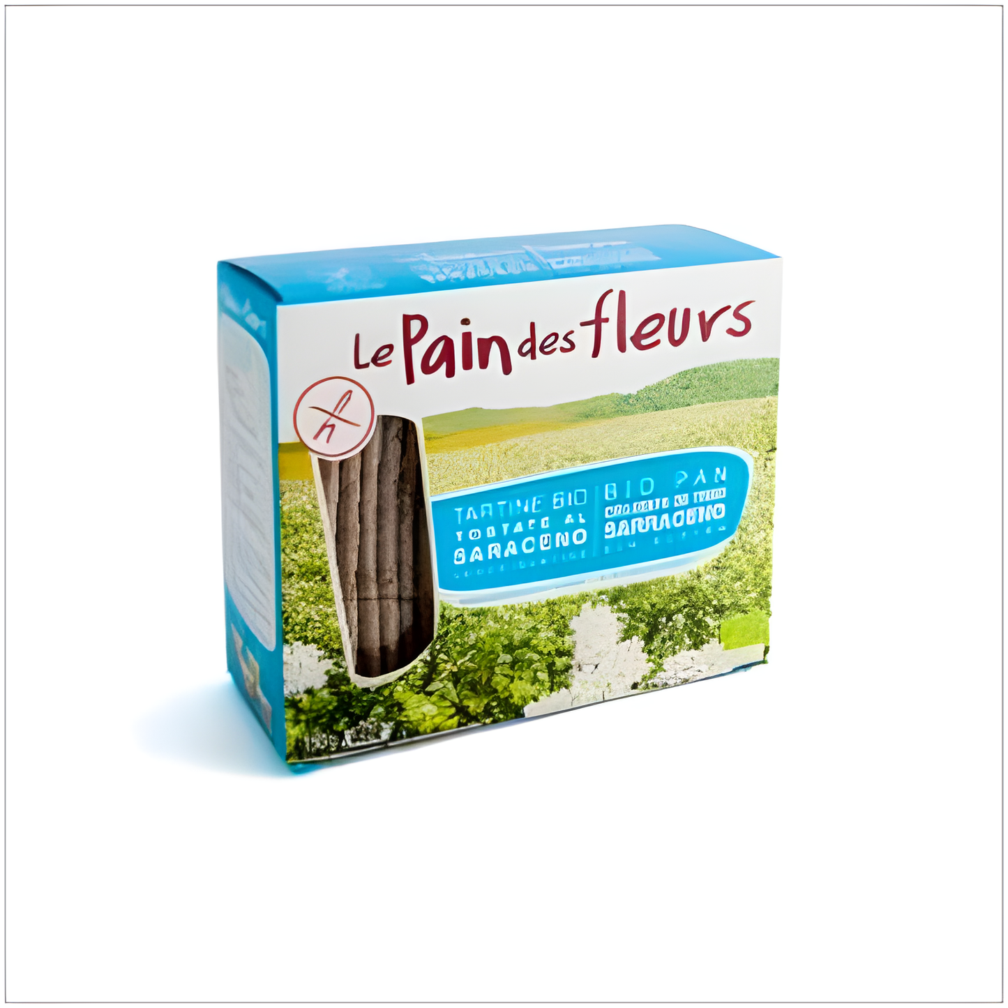 LE PAIN DES FLEURS CRACKER TRIGO SARRACENO 150gr BIO SG S/SAL VEGAN