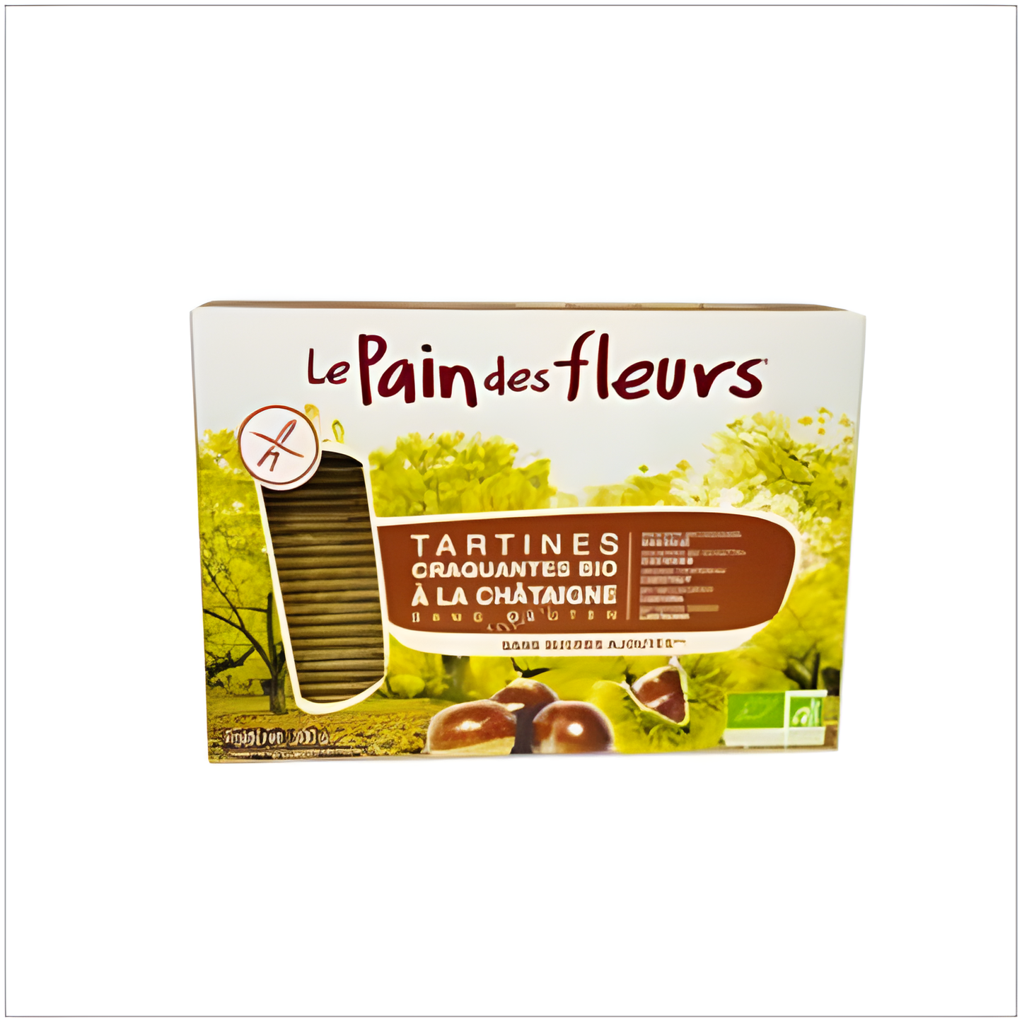 LE PAIN DES FLEURS CRACKER CASTAÑA 300gr. BIO SG VEGAN