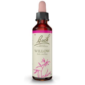 FLORES BACH WILLOW sauce 20ml.